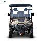  2023 New Transport Utility Vehicle 2 Seater Farm UTV