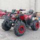 2023 New Design 250cc Big Sport ATV Quad, 200cc Gy6 ATV Buggy