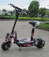 EEC Road Legal Ce/RoHS Approvale Evo Strong Electric Scooter with 1000W 36V Power (ET-ES16) manufacturer