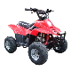 2WD off-Road ATV with 90cc Cdi Ignition System