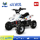 Wholesale Pentora 70cc Four-Stroke Mini Sport ATV manufacturer