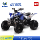  4 Wheeler ATV for Kids 2022 New Model, Pentora 110cc