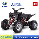 ATV Quad Pure Gasoline Adult Sports ATV manufacturer