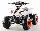 Hot Sales 110cc ATV Quad Bike