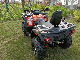  400cc 500cc 570cc 600cc 800cc 4X4 Four Wheeler Quad Bikes ATV for Adults