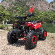 Chain Drive Transmission System Cheap 125cc Displacement ATV for Sale