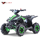  49cc 2 Stroke Air Cooled Mini Sport Quad Bikes 4 Wheelers Kids ATV