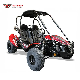  150cc Adult Gas Powered 4 Stroke 2 Seaters Karts Karting Beach Dune Buggy Go Kart