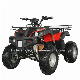  New Powered 2000W Electric ATV for Adult (MC-254)