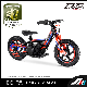 Electric Cross Bike/ Electric Dirt Bike Mini Bike