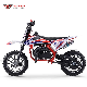 49cc 50cc Gas Petrol Mini Children Kids Bikes, Kids Motorcycle Basic Customization