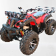 Gas Powered 250cc ATV 4 Wheels Moto Shaft Drive Cross Motorcycle