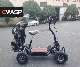 Electric 4X4 Offroad Electric 4X4 Golf