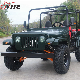  Hot Design 1500W 3000W Electric Jeepu Adult New Energy ATV Long Distance