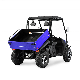 Mini ATV300cc ATV312 Best Buggy 4X4 Cheap 200cc Chenille China 150cc Diferencial Drive Shaft Exhaust Frame Gear Hybrid Kids ATV