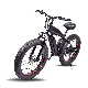 Factory Direct Electric Bike with Big Wheel 36V 500W Motor