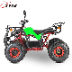 EEC Coc Approved Electric ATV off Road Dune Buggy 2000W 60V Motor