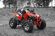  off Road High Configuration Beach ATV Quad with Shockproof Frame