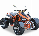 250cc Manufacturers Wholesale ATV/UTV Continuously Variable Speed 4-Wheel Motorcycles