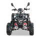 Outdoor Big Bullock 3000W 4000W 72V ATV Factory Wholesale Ditr ATV