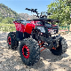  Hot Selling 125cc Kids Quad Atvs Beautiful Bikes for Sale