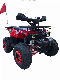  110cc 125cc 150cc 200cc Automatic Quad ATV 4 Wheeled Motorcycle with EPA CE