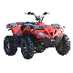 200cc 400cc 4X4 Farm Motor Dune Buggy Quad Moto Bike UTV ATV