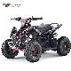Quad Bike ATV 49cc for Kids manufacturer