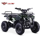 50cc 2 Stroke Gas Powered Four Wheeler Mini ATV for Kids manufacturer