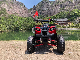 125cc 150cc 200cc Atvs Utvs off Road Four Wheeler Motorcycle Quad Moto Bike