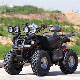  125cc 150cc 200cc 250cc All Terrain off-Road Quad Bike ATV