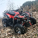 250cc 300cc 4WD Farm Quad Bike Cruiser Dune Buggy ATV