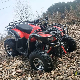  250cc 300cc 4WD Farm Quad Bike Cruiser Dune Buggy ATV