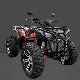  OEM UTV/Atvs ATV for Adult 4X4 250cc 300cc 4X4 Farmer ATV