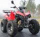  110cc, 150cc, 250cc Adult Quad 4stroke ATV/UTV
