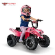 New Toy Ride on Electric ATV for Kids Bike Quad 250W 24V