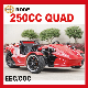  EEC 250cc Reverse Trike ATV (MC-369)