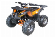 Dune Buggy 110cc 125cc 4 Wheeler Gas Quad ATV Bike