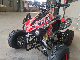 Well Selling New Type CE Wholesale Good Price Mini Kids Gas 110cc 125cc 4 Wheel Cool ATV Quad Bike manufacturer