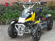 800W Motor Mini Electric ATV Quads (ET-EATV024) manufacturer