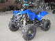 2014 New 125cc ATV (kawasaki design) (et-ATV048) manufacturer