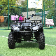 250cc for 4X4 Farm Engine LED Bar Power Sports Sale in Lebanon Quad 3 Wheeler 500cc with EPA 800cc 49 50 6X6 Beadlock 450cc ATV manufacturer