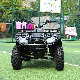 250cc for 4X4 Farm Engine LED Bar Power Sports Sale in Lebanon Quad 3 Wheeler 500cc with EPA 800cc 49 50 6X6 Beadlock 450cc ATV