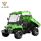 Durable Electric UTV with CE Certification