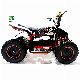 4 Wheeler Quad Electric Factory Famous Popular Mini Quad ATV Scooter for Child Hot Sale