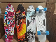  Wholesale of Professional Portable Skateboard for Outdoor Sports