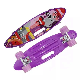 Cheap 23 Inch Mini Plastic Cruiser Skateboard for Kids manufacturer