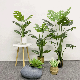 Ins Style Potted Artificial Monstera Leaf Plant for Indoor Home Hotel Decoration Bonsai Tree