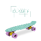 Mini 22 Inch Full Blank Fish Board Cruiser Skateboard manufacturer