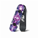 Popular Beginner Skateboard with Color Flash Wheel manufacturer